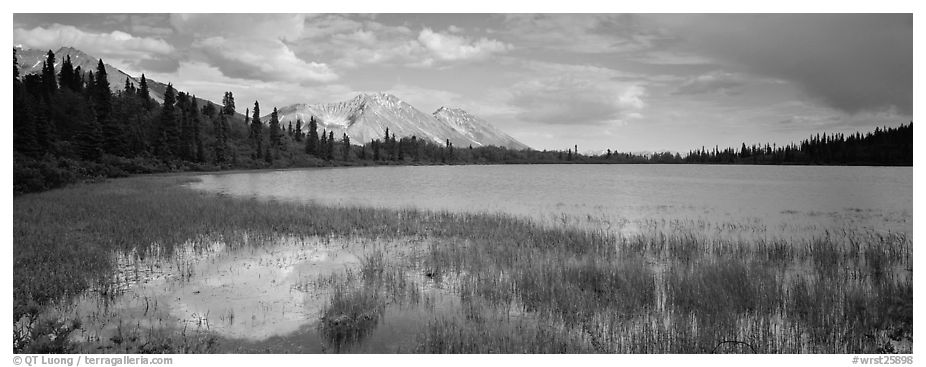 Reeds, pond, and mountains with open horizon. Wrangell-St Elias National Park (black and white)