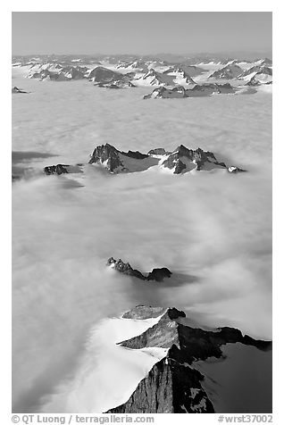 Aerial view of ridges and summits emerging from sea of clouds, St Elias range. Wrangell-St Elias National Park (black and white)
