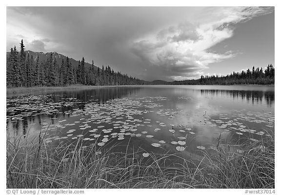 Crystal Lake with starting afternoon shower. Wrangell-St Elias National Park, Alaska, USA.