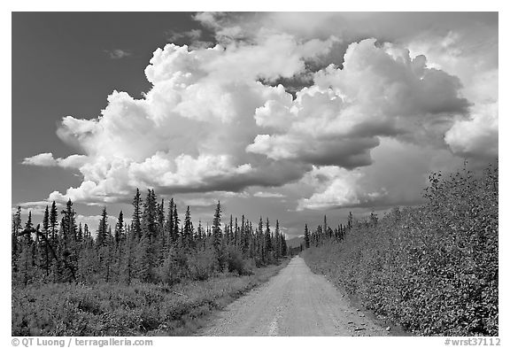Mc Carthy road and afternoon thunderstorm clouds. Wrangell-St Elias National Park, Alaska, USA.