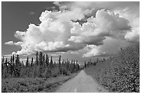 Mc Carthy road and afternoon thunderstorm clouds. Wrangell-St Elias National Park ( black and white)