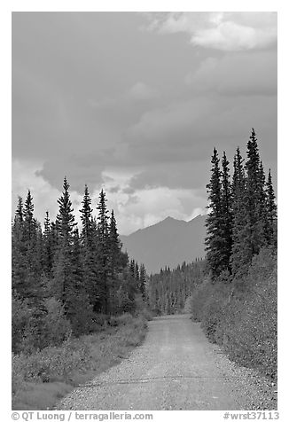 McCarthy road. Wrangell-St Elias National Park (black and white)