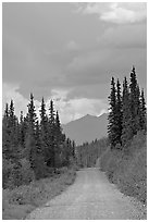 McCarthy road. Wrangell-St Elias National Park ( black and white)