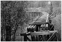 Gilahina trestle, constructed in eight winter days. Wrangell-St Elias National Park, Alaska, USA. (black and white)