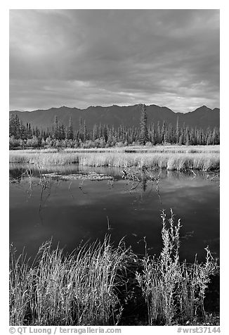 Pond, tundra and mountains. Wrangell-St Elias National Park (black and white)