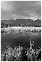 Pond, tundra and mountains. Wrangell-St Elias National Park ( black and white)