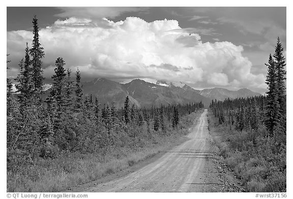 Nabesna Road, mid-afternoon. Wrangell-St Elias National Park (black and white)