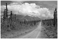 Nabesna Road, mid-afternoon. Wrangell-St Elias National Park ( black and white)