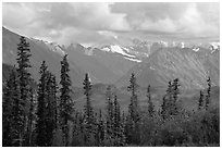 Spruce and Nutzotin Mountains. Wrangell-St Elias National Park ( black and white)