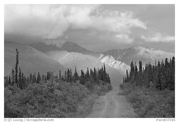 Gravel road leading to mountains lit by sunset light. Wrangell-St Elias National Park (black and white)