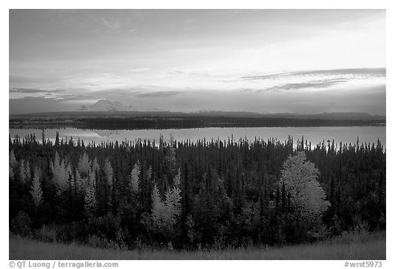 Mt Wrangell and Willow Lake, morning. Wrangell-St Elias National Park, Alaska, USA.