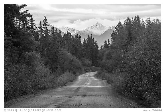 McCarthy Road in autumn and snowy peaks. Wrangell-St Elias National Park (black and white)