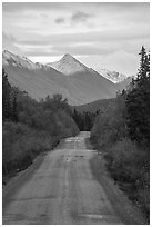 McCarthy Road in autumn and snowy mountain. Wrangell-St Elias National Park ( black and white)