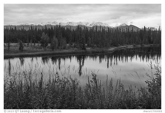 Pond in autumn with spruce and snowy mountains. Wrangell-St Elias National Park (black and white)