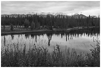 Pond in autumn with spruce and snowy mountains. Wrangell-St Elias National Park ( black and white)