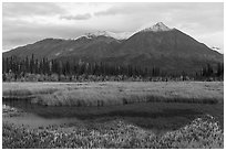 Golden grasses, mountains reflected in pond. Wrangell-St Elias National Park ( black and white)