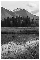Grasses, pond, and snowy peak. Wrangell-St Elias National Park ( black and white)