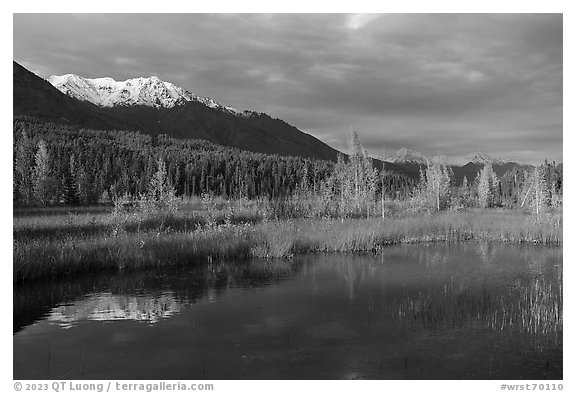 Snowy mountains and aspens reflected in Ruth Lake. Wrangell-St Elias National Park (black and white)