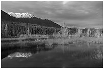 Snowy mountains and aspens reflected in Ruth Lake. Wrangell-St Elias National Park ( black and white)