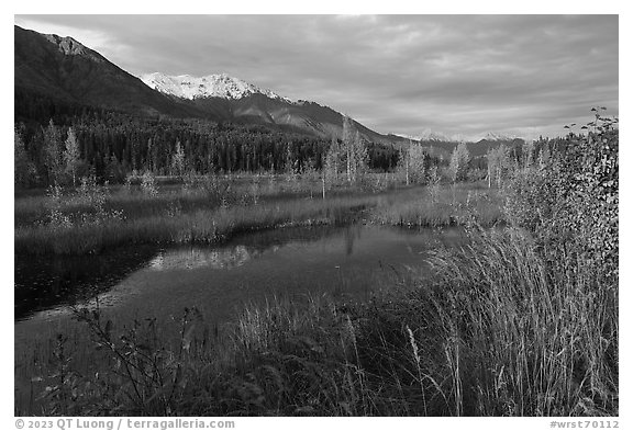 Ruth Lake. Wrangell-St Elias National Park (black and white)