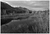 Ruth Lake. Wrangell-St Elias National Park ( black and white)