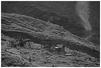 Mining structures, Bonanza Creek drainage. Wrangell-St Elias National Park ( black and white)