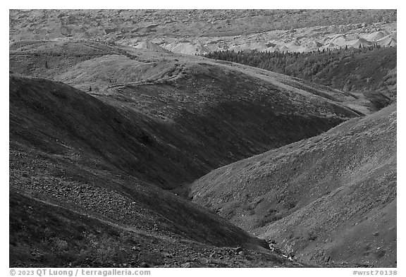 Valley carved by Bonanza Creek. Wrangell-St Elias National Park (black and white)