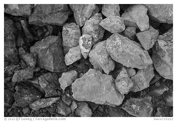 Close-up of rocks with copper minerals. Wrangell-St Elias National Park (black and white)