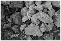 Close-up of rocks with copper minerals. Wrangell-St Elias National Park ( black and white)