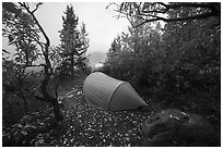 Tent at Jumbo Creek campsite and Root Glacier. Wrangell-St Elias National Park ( black and white)