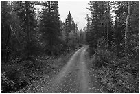 Old Wagon Road. Wrangell-St Elias National Park ( black and white)