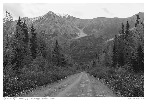 Road to Kennecott. Wrangell-St Elias National Park (black and white)
