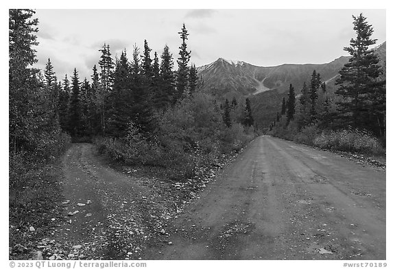Old Wagon Road and new road. Wrangell-St Elias National Park (black and white)