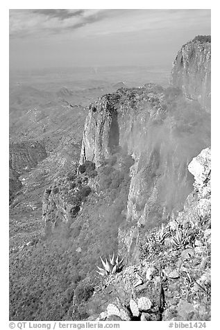 Cliffs and fog from South Rim, morning. Big Bend National Park (black and white)