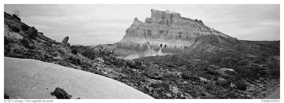 Landscape of white volcanic ash and rocks. Big Bend National Park (black and white)