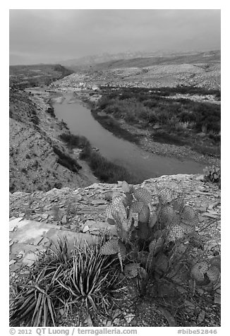 Cactus and Rio Grande Wild and Scenic River. Big Bend National Park (black and white)