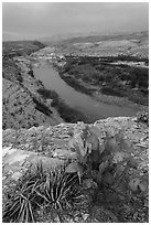 Cactus and Rio Grande Wild and Scenic River. Big Bend National Park ( black and white)