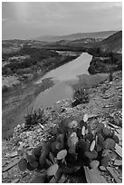 Rio Grande Wild and Scenic River, dusk. Big Bend National Park ( black and white)
