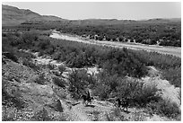 Mexican nationals crossing border on horse. Big Bend National Park, Texas, USA. (black and white)