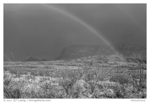 Double rainbow and ocotillos. Big Bend National Park (black and white)