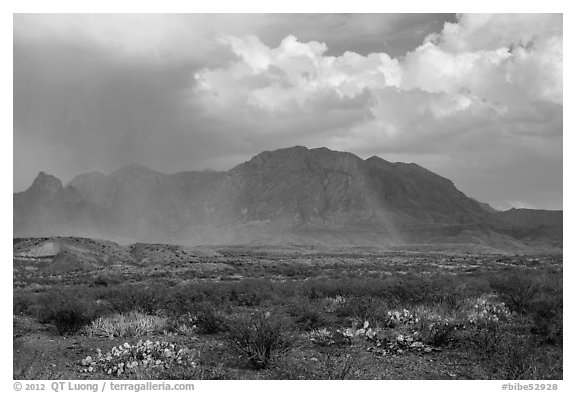 Clearing storm, rainbow, and Chisos Mountains. Big Bend National Park (black and white)