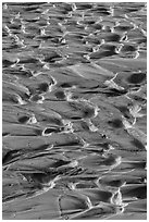 Mud ripples, Terlingua Creek. Big Bend National Park ( black and white)