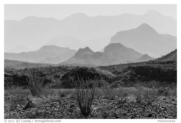 Desert and hazy Chisos Mountains. Big Bend National Park (black and white)
