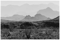 Desert and hazy Chisos Mountains. Big Bend National Park, Texas, USA. (black and white)