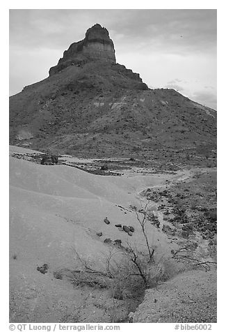 Volcanic tower near Tuff Canyon. Big Bend National Park (black and white)