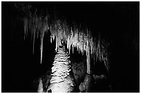 Stalactites and columns in big room. Carlsbad Caverns National Park ( black and white)