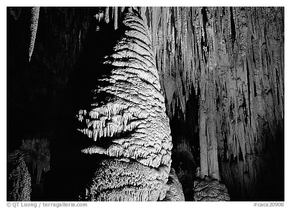 Large stalagmite column and thin stalagtites. Carlsbad Caverns National Park (black and white)