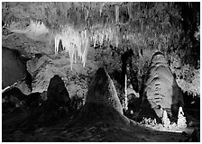 Stalagtite chandelier and stubby stalagmites. Carlsbad Caverns National Park ( black and white)