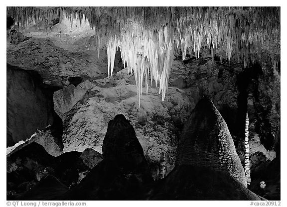 Stalactites in Big Room. Carlsbad Caverns National Park (black and white)