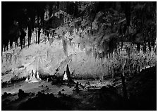 Papoose Room. Carlsbad Caverns National Park ( black and white)
